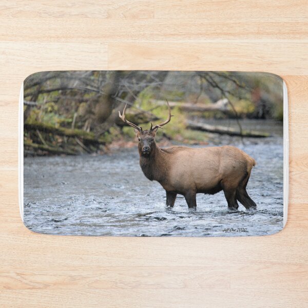 Item preview, A Bull Elk crossing the Oconaluftee River designed and sold by Jeff Ore.