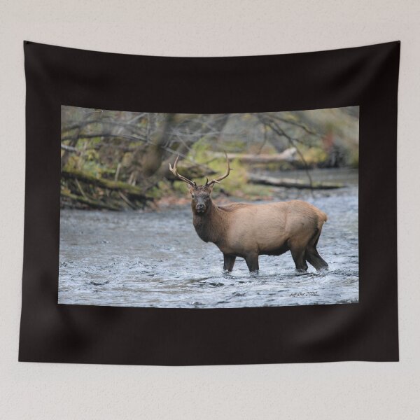 Item preview, A Bull Elk crossing the Oconaluftee River designed and sold by Jeff Ore.