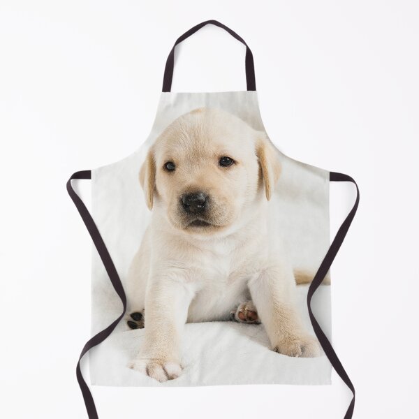 Item preview, Cute little Golden labrador puppy designed and sold by HaleyRedshaw.