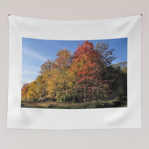 Item preview, Autumn Colors In Pennsylvania 3 designed and sold by jtrommer.