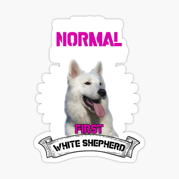 V01 Berger Blanc Suisse Dog Window Decal Gift WHITE SWISS SHEPHERD Car Sticker