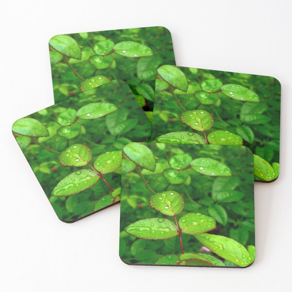 Item preview, Dewdrops on Rose Leaves  designed and sold by ACS-Store.