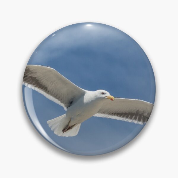 Item preview, Seagull in flight designed and sold by HaleyRedshaw.