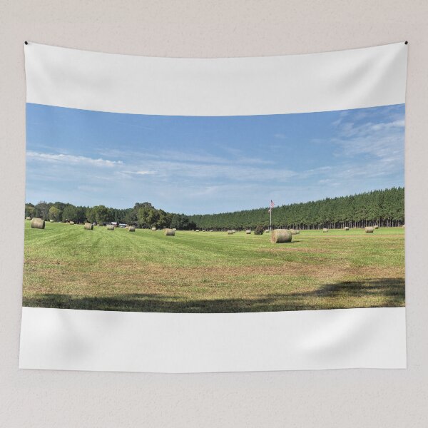 Item preview, Rolled Hay Bales - Alabama Panorama designed and sold by jtrommer.