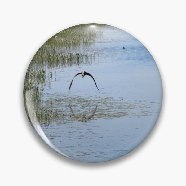 Item preview, Flying Osprey designed and sold by William Franklin-Cromwell.