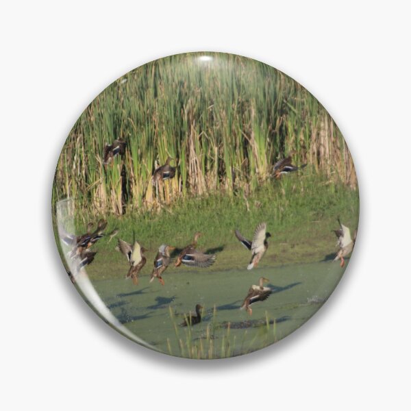 Item preview, Flight of the Ducks 2 designed and sold by William Franklin-Cromwell.