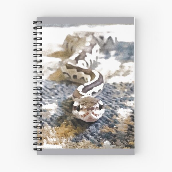 Item preview, Ball Python Digital Painting designed and sold by Mimi Foley.