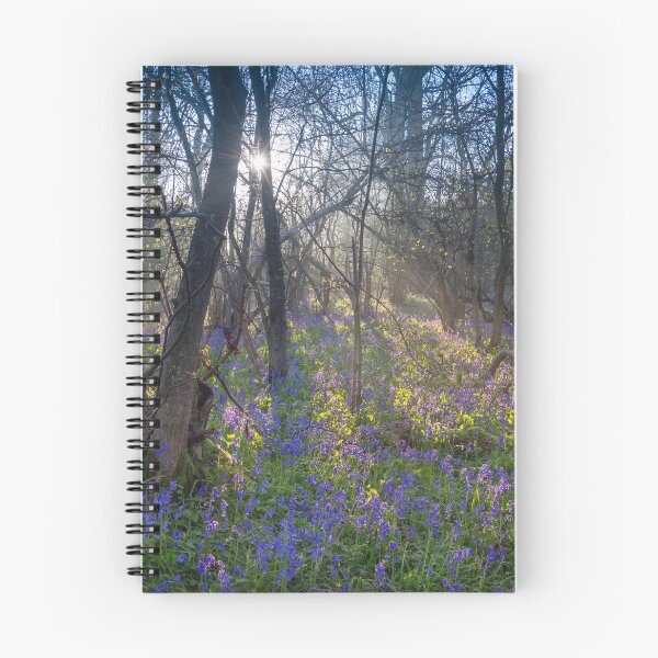 Item preview, Bluebell Wood at Sunrise designed and sold by dvlcom.