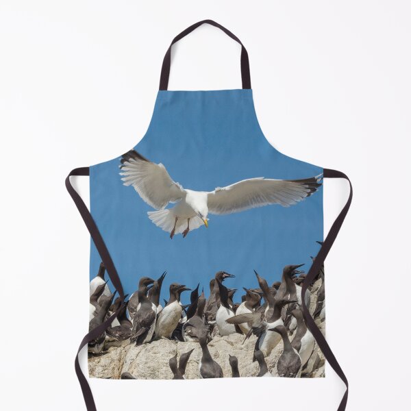 Item preview, Seagull hovering over the birds designed and sold by HaleyRedshaw.