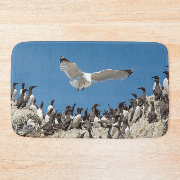 Item preview, Seagull hovering over the birds designed and sold by HaleyRedshaw.