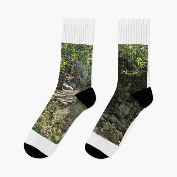 Item preview, Trail Through An Alabama Forest - Moss Rock Preserve 2 designed and sold by jtrommer.