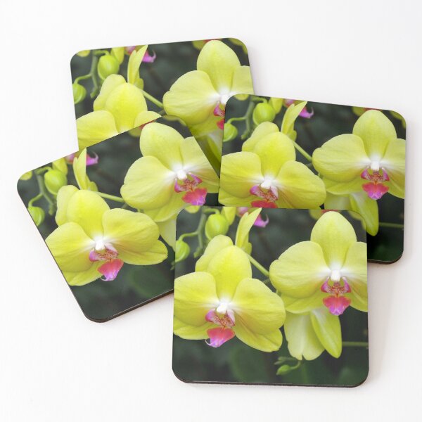 Item preview, Yellow Orchids designed and sold by Rivercoatl.