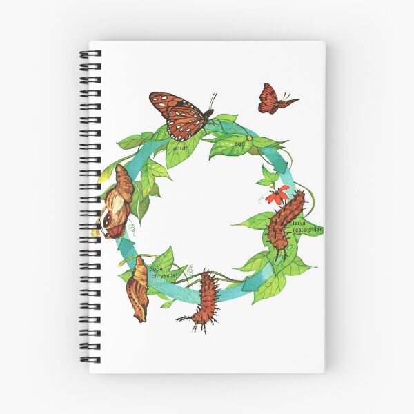 Item preview, Butterfly Wreath - Caterpillar Metamorphosis  designed and sold by elevens.