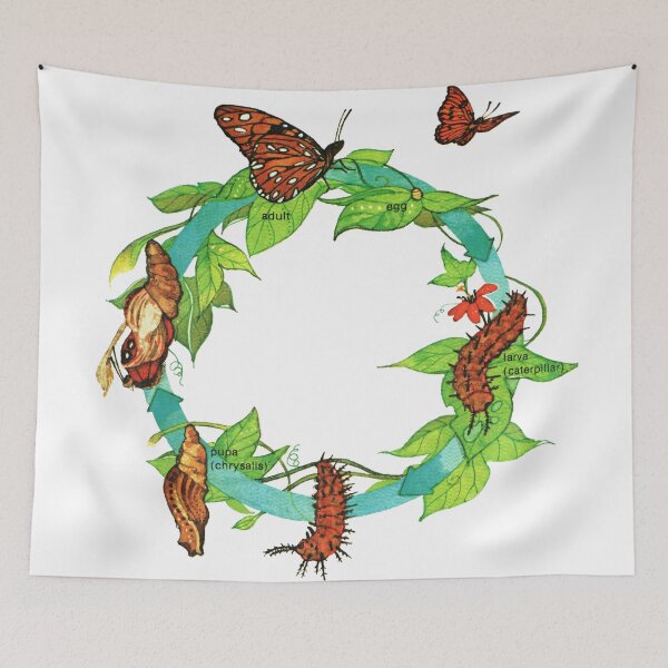 Item preview, Butterfly Wreath - Caterpillar Metamorphosis  designed and sold by elevens.
