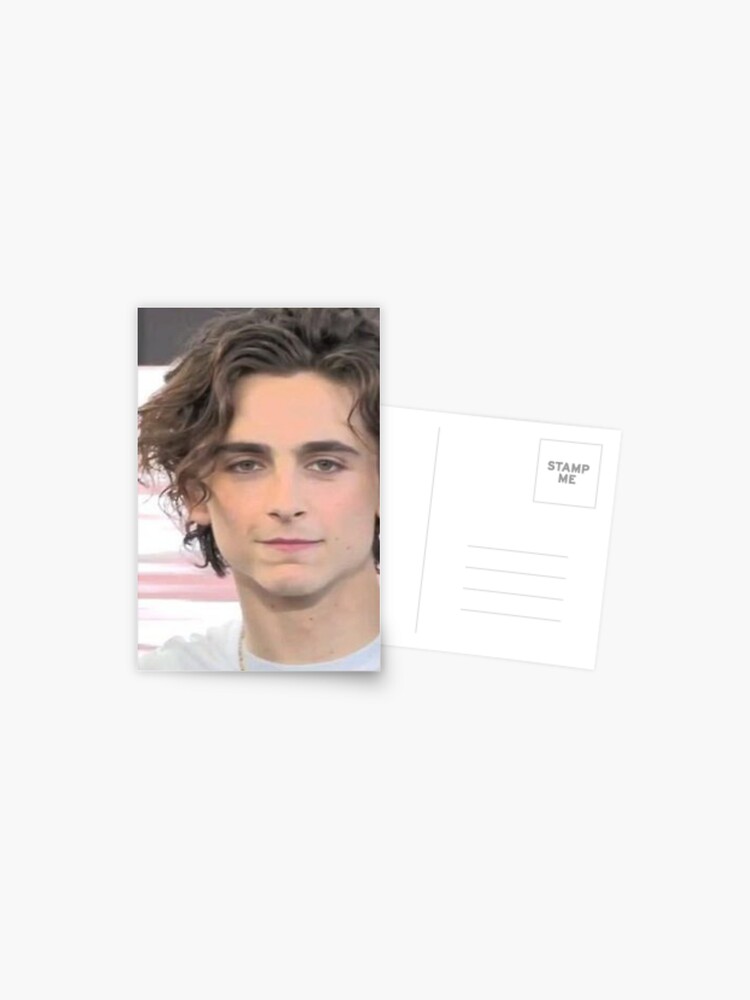 Timothée Chalamet Postcard by daddyhiddlest