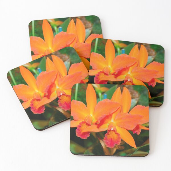 Item preview, Bright Peach/Orange Orchid Blossoms designed and sold by Rivercoatl.
