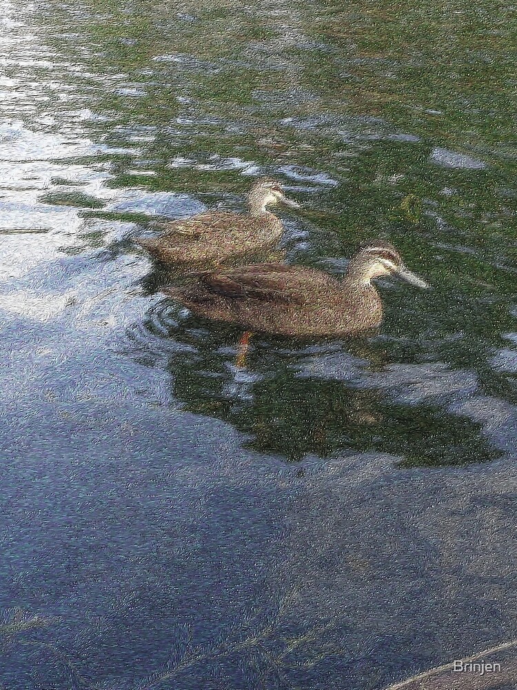 Duck Gogh by Brinjen