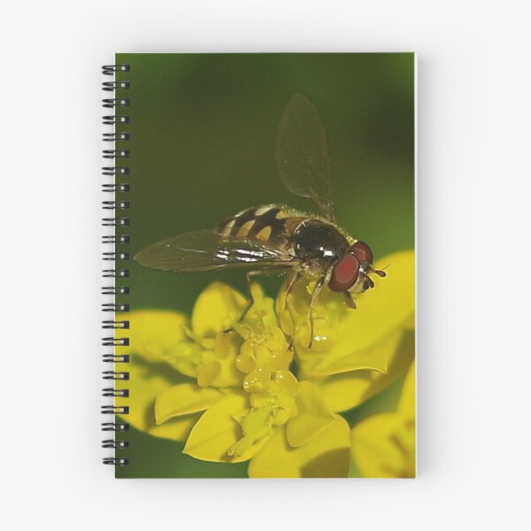 Item preview, Hover Fly designed and sold by Paul Chubb.