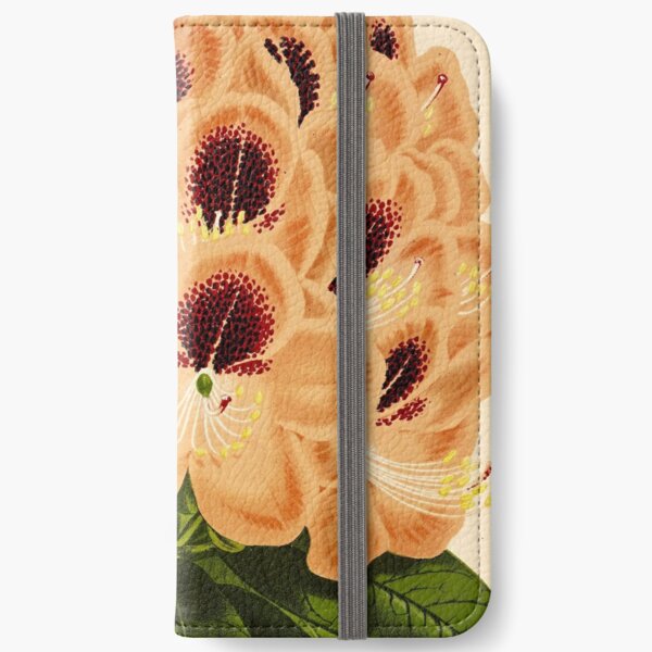 Vintage Rhododendron Marchioness of Landsdowne Print iPhone Wallet
