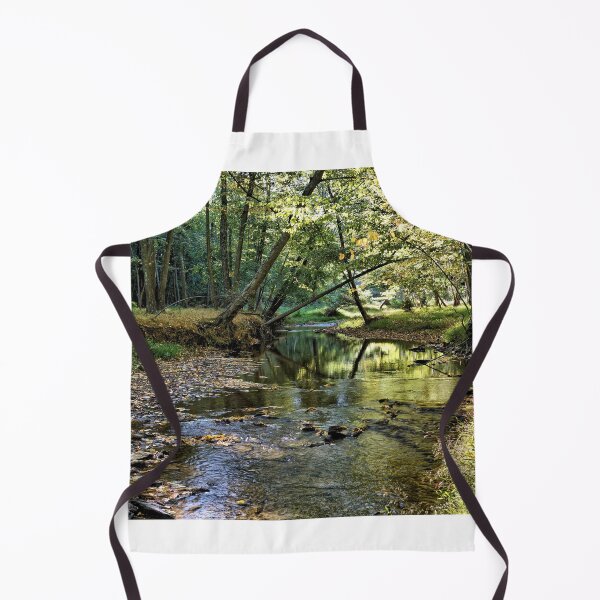 Item preview, Stream Through A Pennsylvania Forest 1 designed and sold by jtrommer.