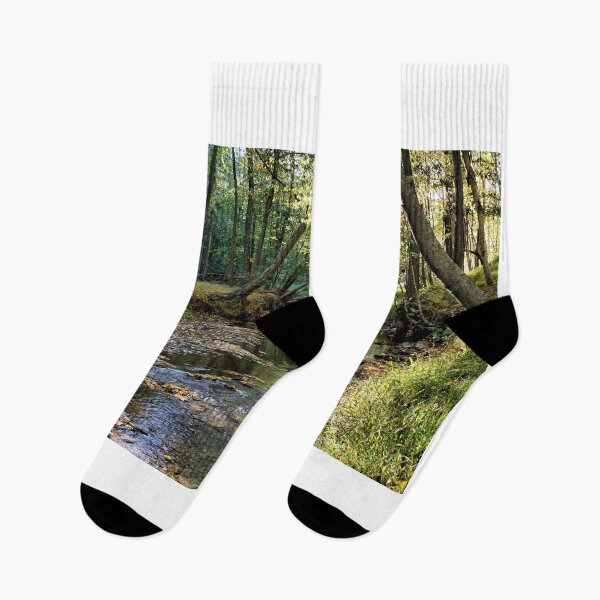 Item preview, Stream Through A Pennsylvania Forest 1 designed and sold by jtrommer.