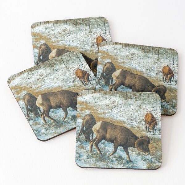 Item preview, Big Horn Sheep on Road designed and sold by Bryan Spellman.