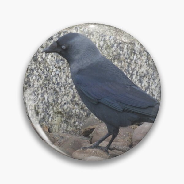 Item preview, Cornish Jackdaw designed and sold by Gingatoo.