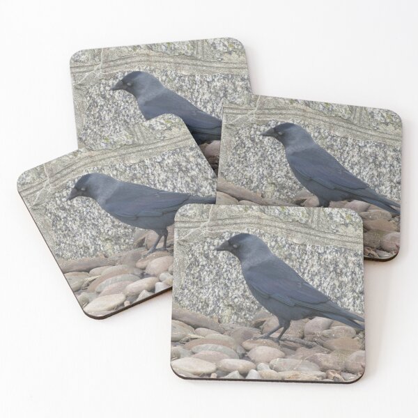 Item preview, Cornish Jackdaw designed and sold by Gingatoo.
