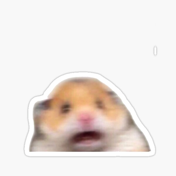 Scared hamster meme Sticker for Sale by kamilesz