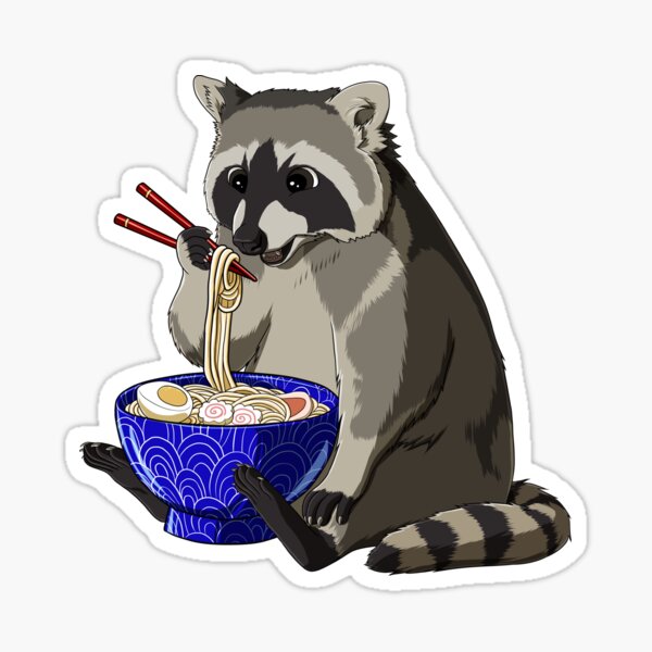 Raccoon Sticker – owloart