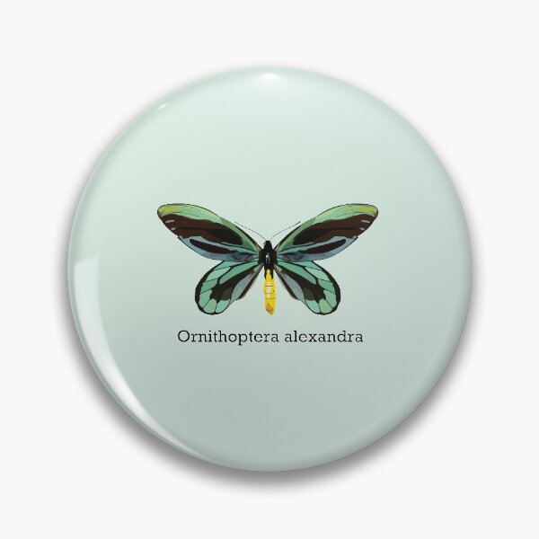 Item preview, Queen Alexandra's Birdwing with Latin Name designed and sold by tealprint.