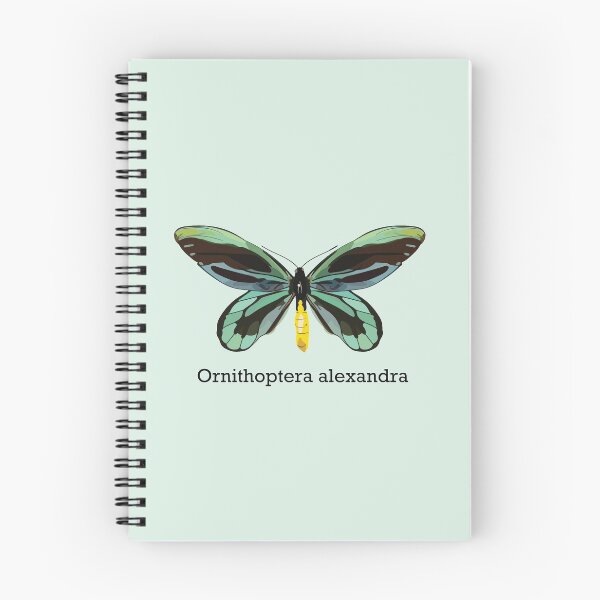 Item preview, Queen Alexandra's Birdwing with Latin Name designed and sold by tealprint.