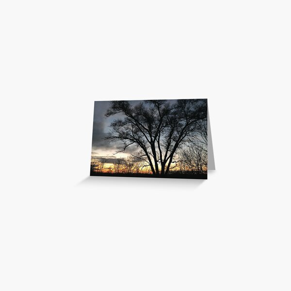 Sunset 6031 Greeting Card