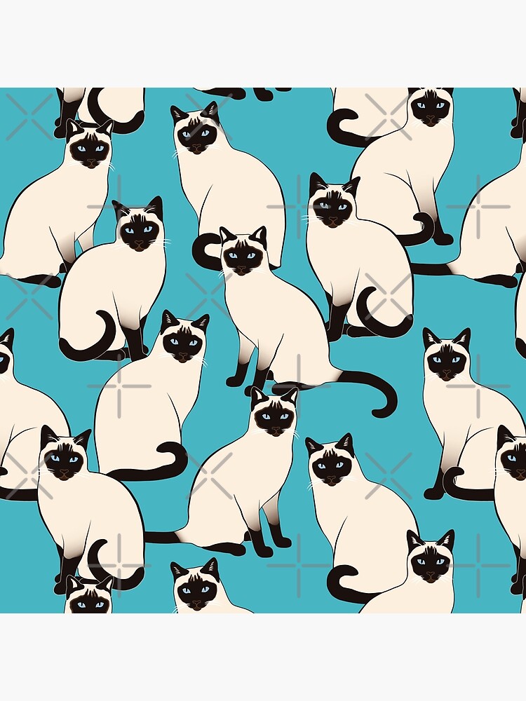 Siamese Cats dense on turquoise by nadyanadya