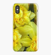 Yellow narcissus macro iPhone Case/Skin