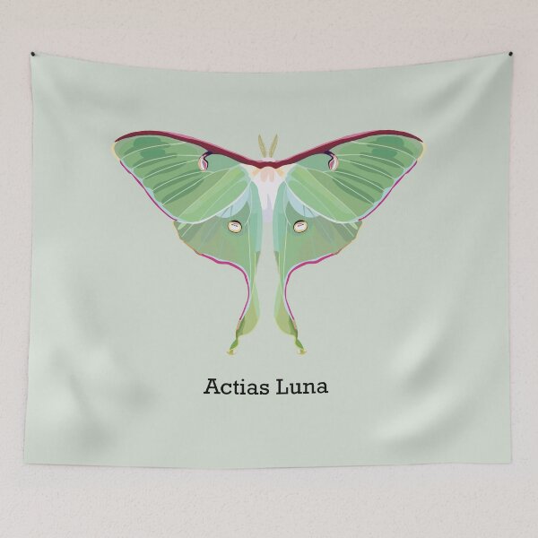 Item preview, Lunar Moth with Latin Name designed and sold by tealprint.