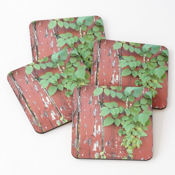 Item preview, Bright green leaves peeking through a rustic wooden fence designed and sold by Rennie Palmer.