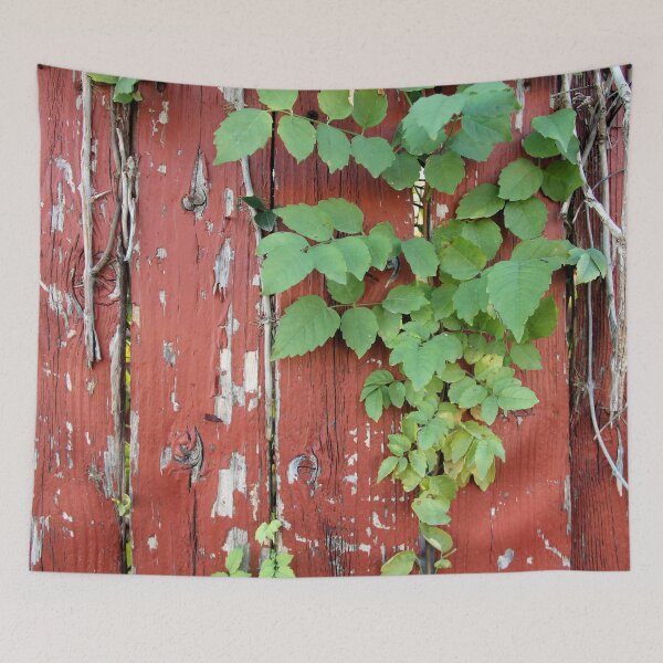 Item preview, Bright green leaves peeking through a rustic wooden fence designed and sold by Rennie Palmer.