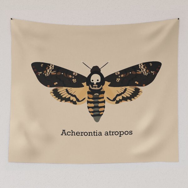 Item preview, Deathhead Hawkmoth with Latin Name designed and sold by tealprint.