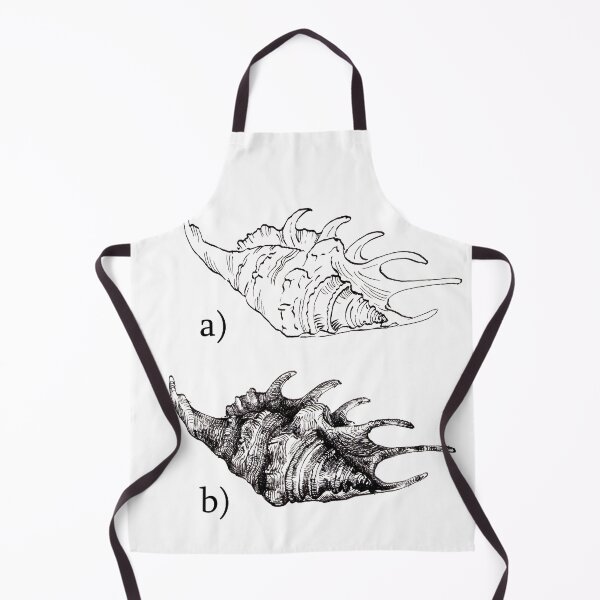 Item preview, Shells study - ink illustration designed and sold by Donata Zawadzka.