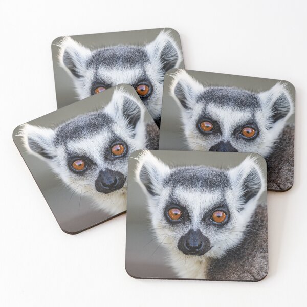 Item preview, Ring Tailed Lemur portrait designed and sold by MartinWood.