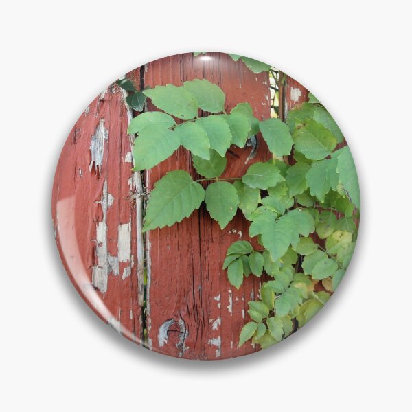 Item preview, Bright green leaves peeking through a rustic wooden fence designed and sold by Rennie Palmer.