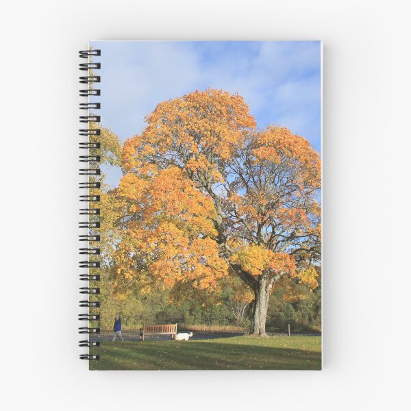 Item preview, Aberlour Autumn designed and sold by sandysshoots.
