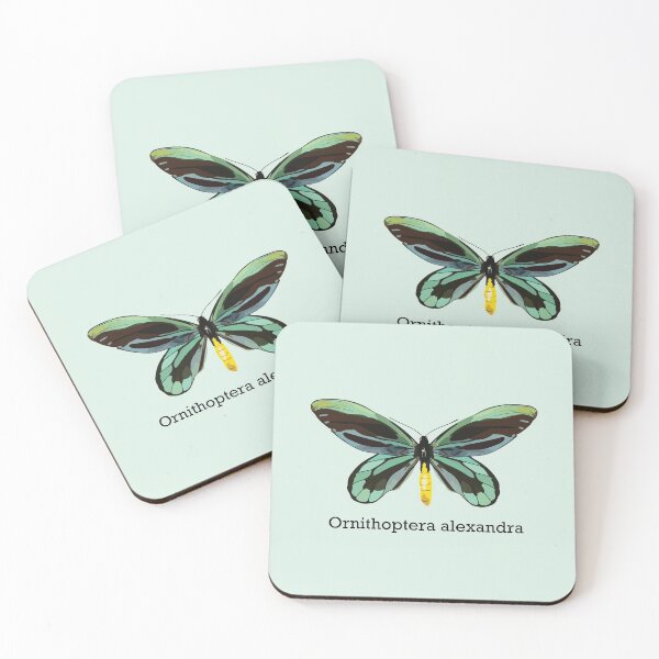 Item preview, Queen Alexandra's Birdwing with Latin Name designed and sold by tealprint.