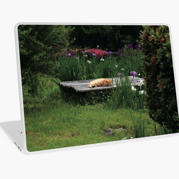 Content Cat Laptop Skin