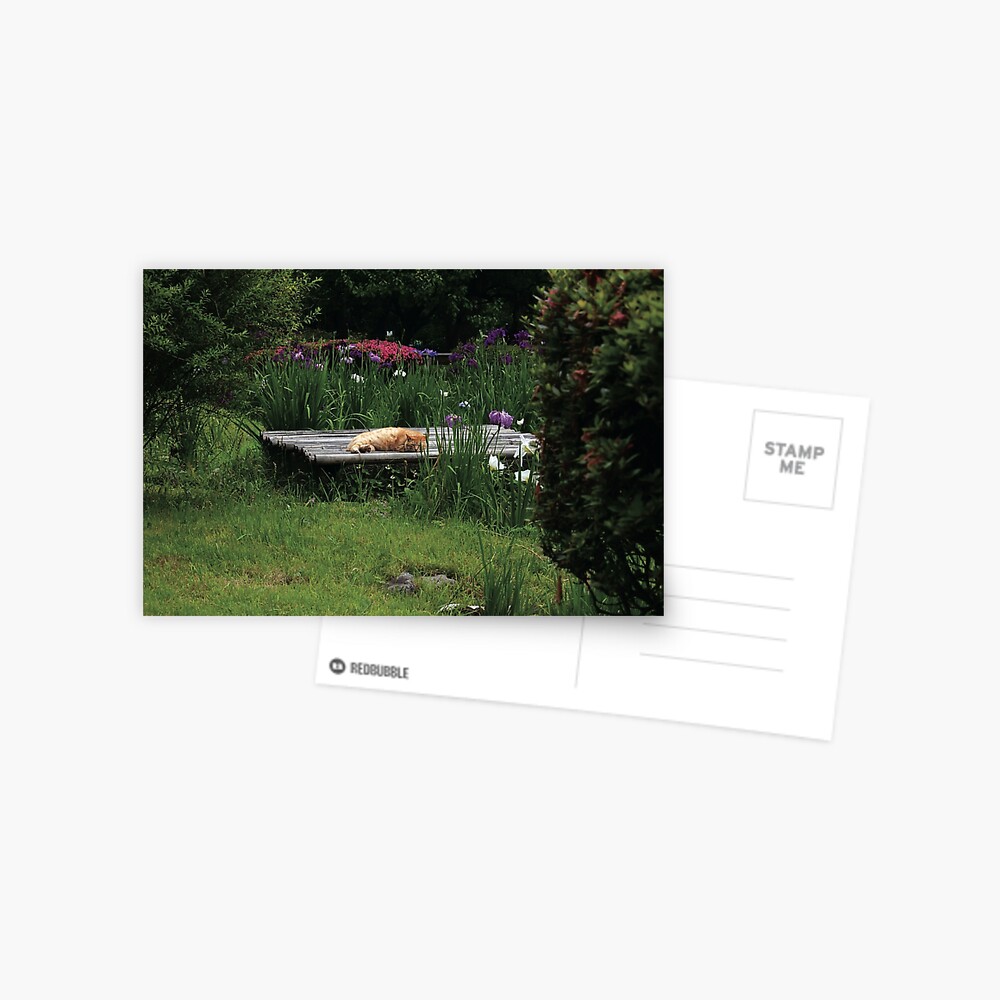 Item preview, Postcard designed and sold by SandDragonPress.