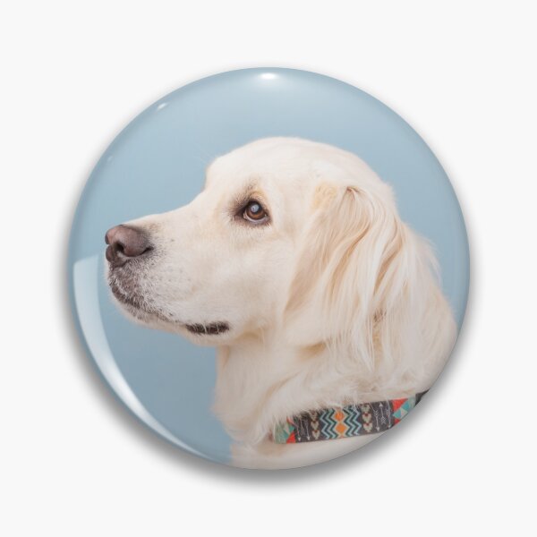 Item preview, English Cream Retriever designed and sold by mialeephoto.