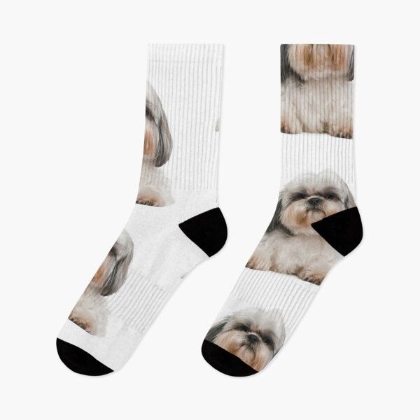 Item preview, One, Two, How Many Shih Tzu designed and sold by JoeyD-Stabbie.