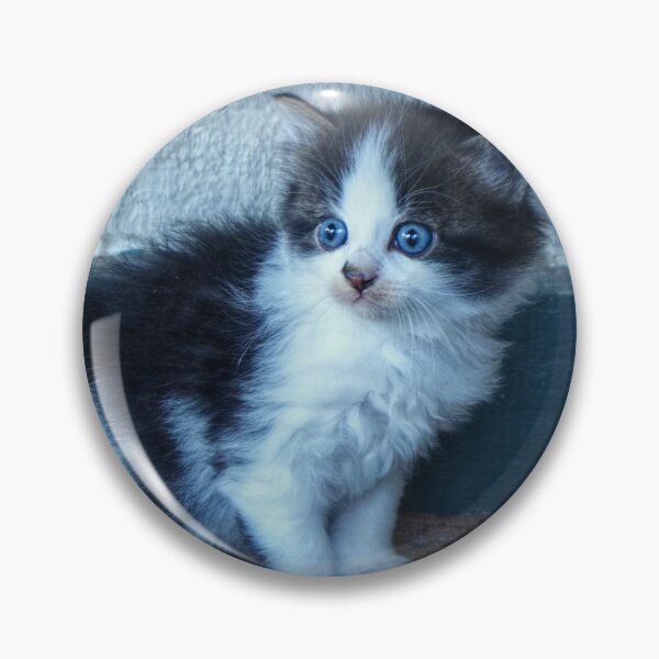 Item preview, Black + White Kitten designed and sold by Frankie Cat Photography.