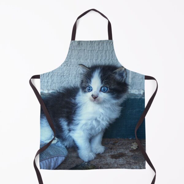 Item preview, Black + White Kitten designed and sold by Frankie Cat Photography.